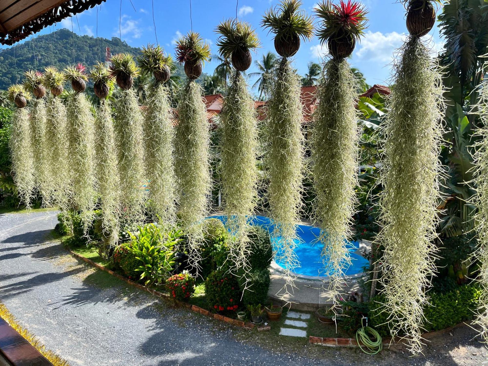 Amy Village Garden Resort ラマイビーチ エクステリア 写真